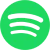 spotify icon